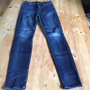 Paradise Mine High Rise Skinny Jean